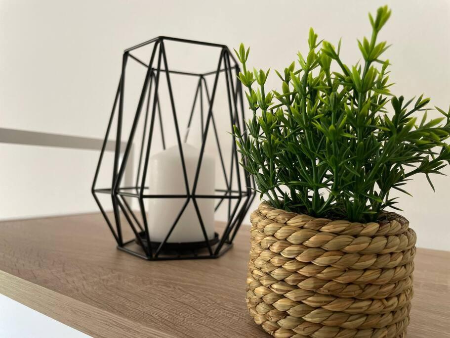 Apartament El Balcon De Naranjos Kordoba