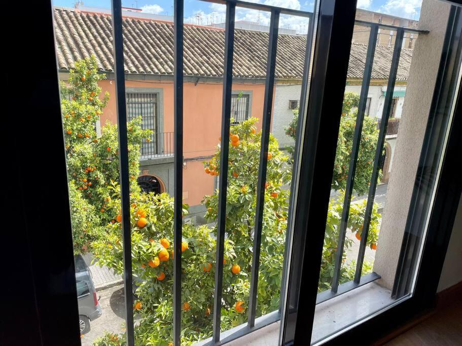 El Balcon De Naranjos Kordoba